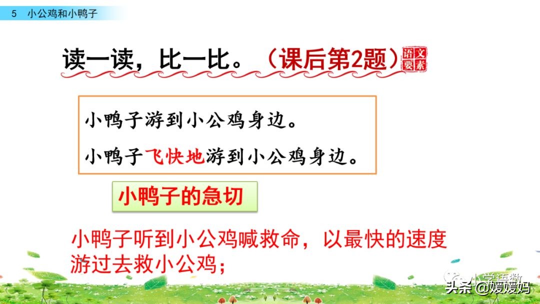 一年级下册语文课文5《小公鸡和小鸭子》图文详解及同步练习