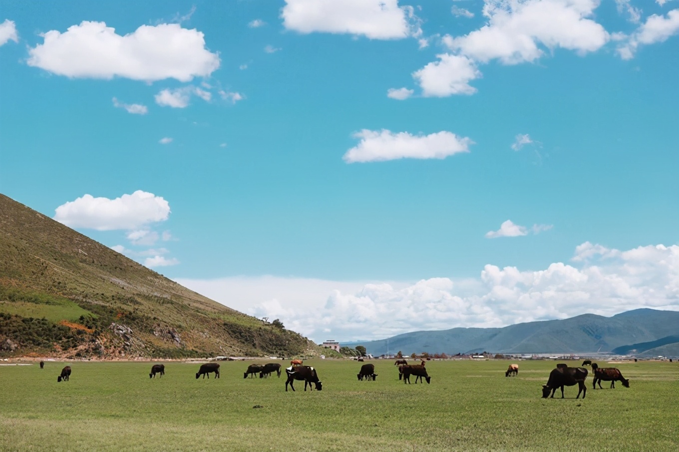 云南香格里拉旅游攻略必去景点，云南香格里拉旅游最佳时间