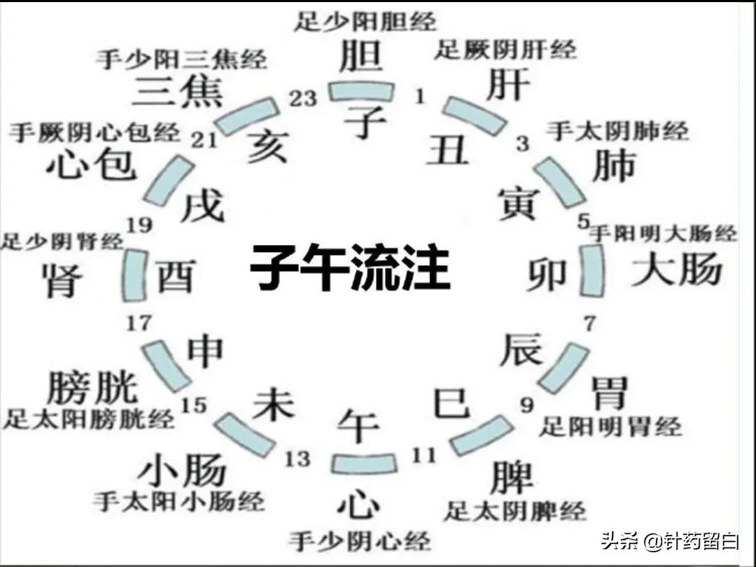 问答针灸——针灸可以治疗哪类疾病