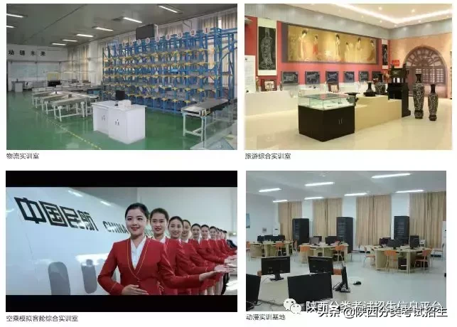 【国家公办】陕西青年职业学院2019年分类考试招生简章及院校介绍