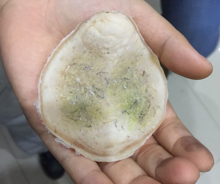 东江里1米多长的"青鱼王"死了,网友:鱼石值钱!