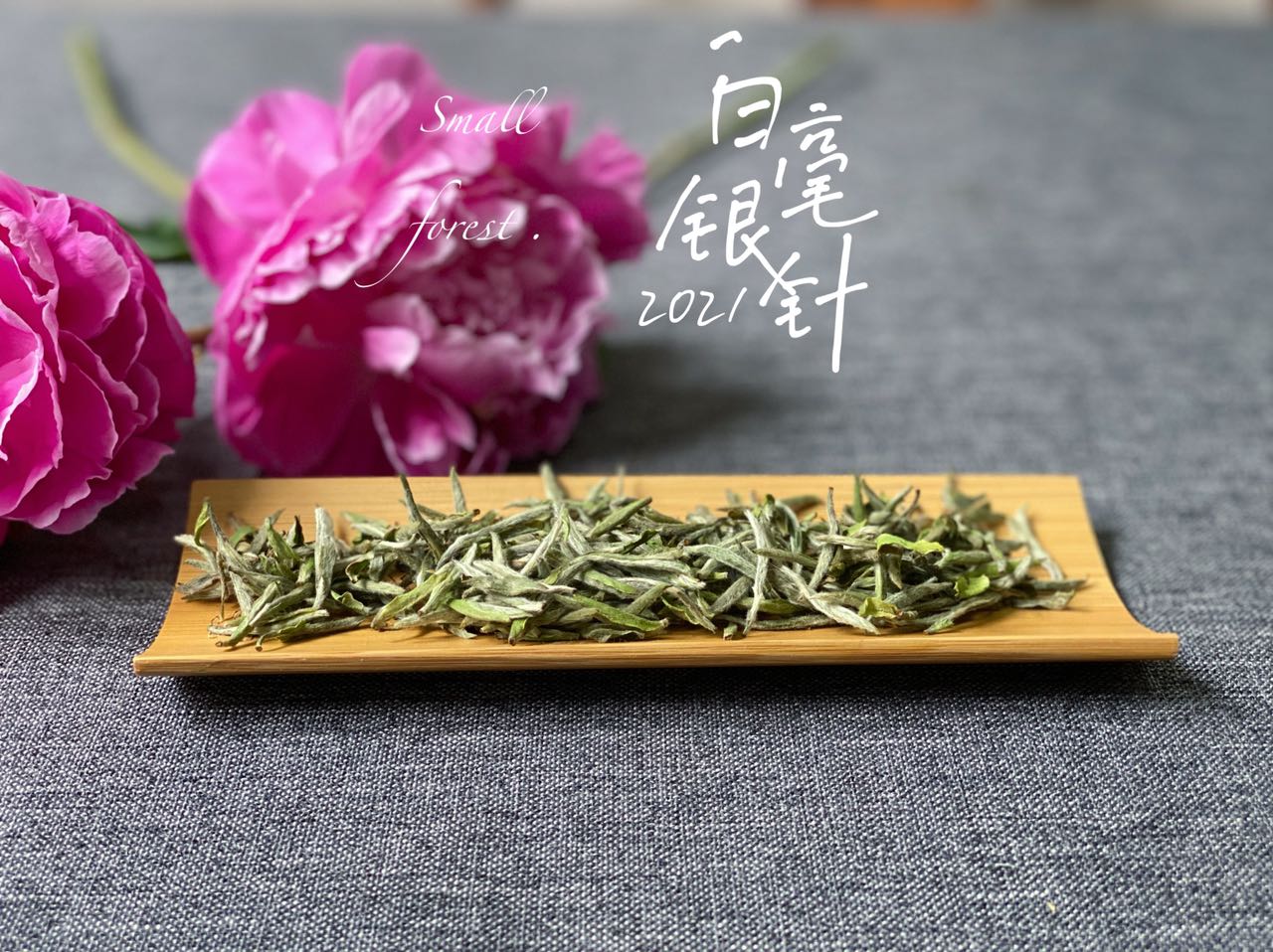 洗茶、闷泡、悬壶高冲，看过5点细节，带你告别错误的白茶冲泡法