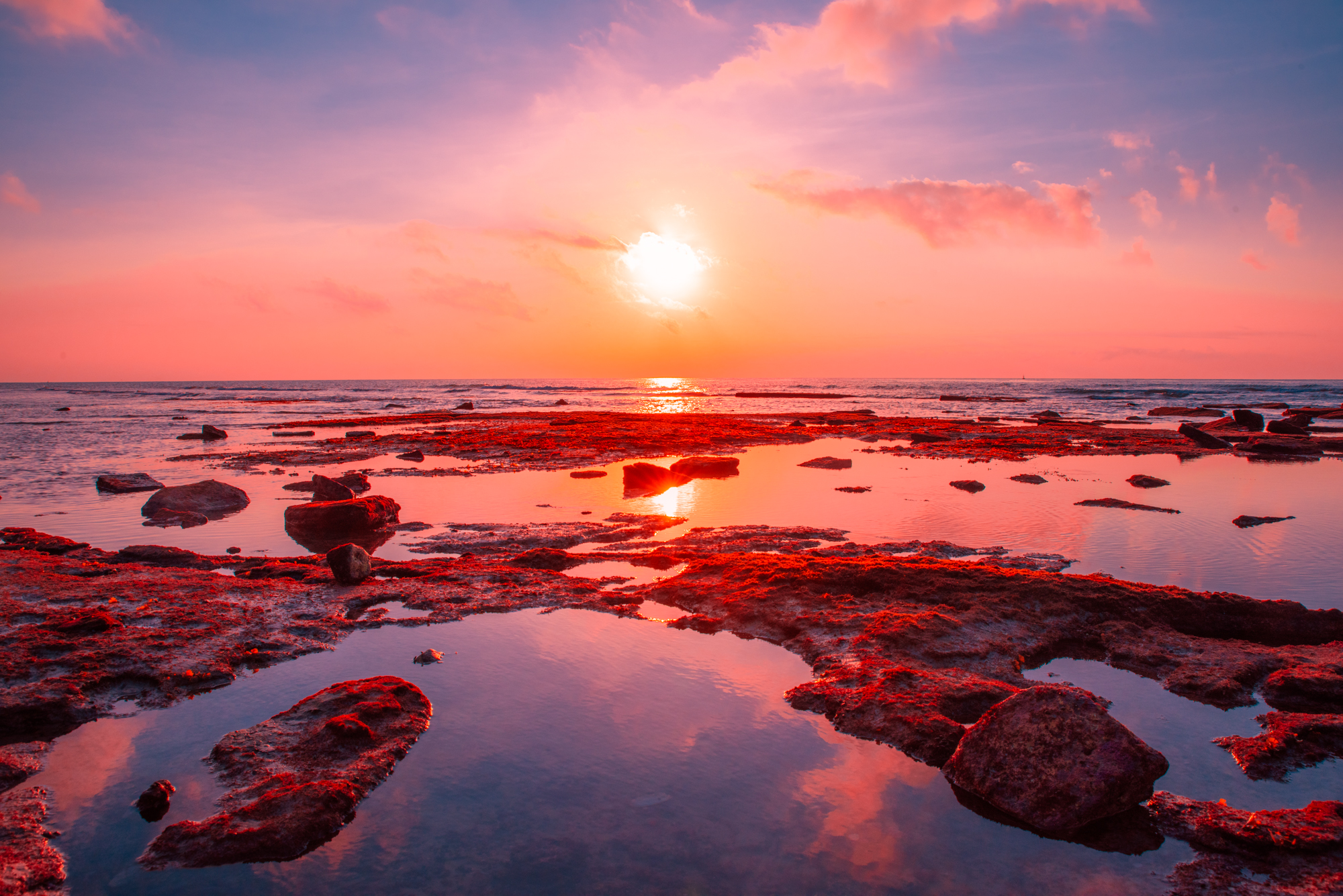 关于坚持梦想的句子简短(关于坚持梦想的句子 )_爱阅读