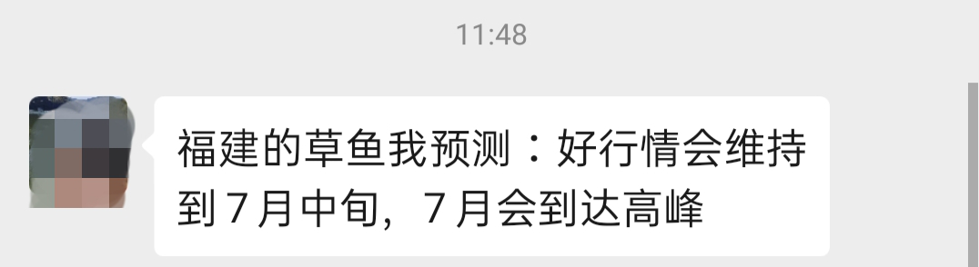 今日开封草鱼塘头价（今日草鱼塘头价格表）
