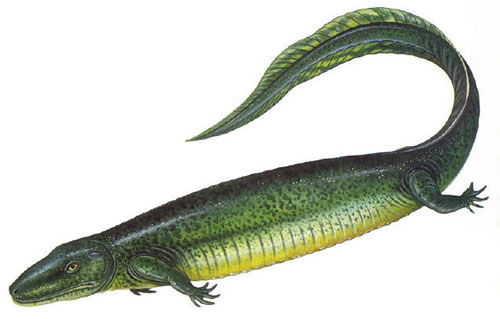 用中国最传统的方法 找寻你的另一半贝壳吧~~_达一风水网