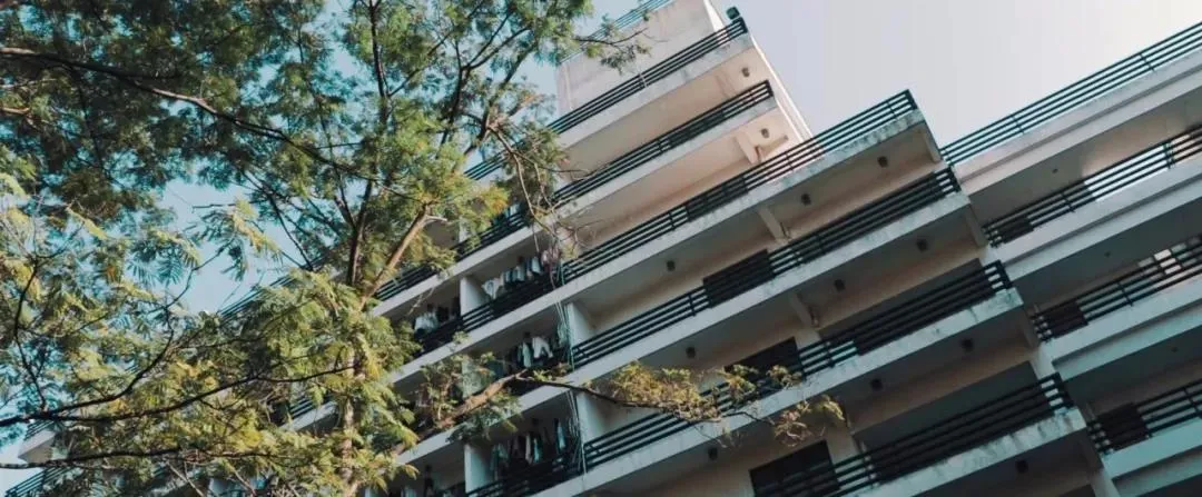 艺考资讯 | 九大美院的校园景色battle，也是神仙打架