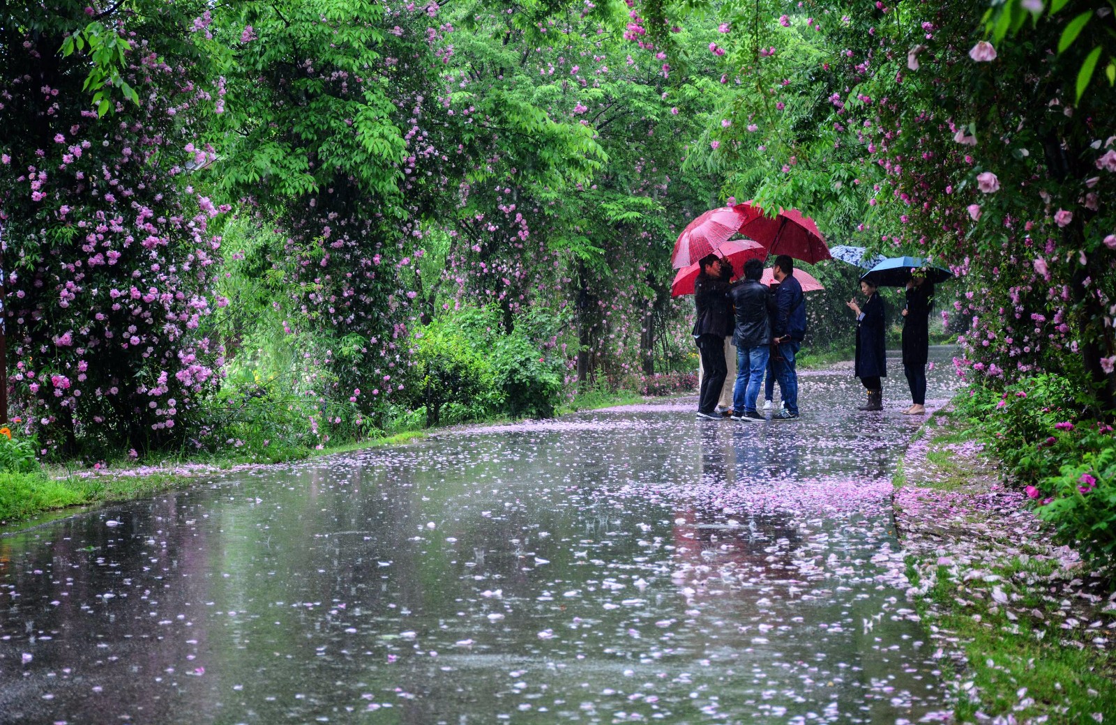春风春雨"一丝春风要把一株新曲吹绿,一滴春雨要将一朵蓓蕾染红",这