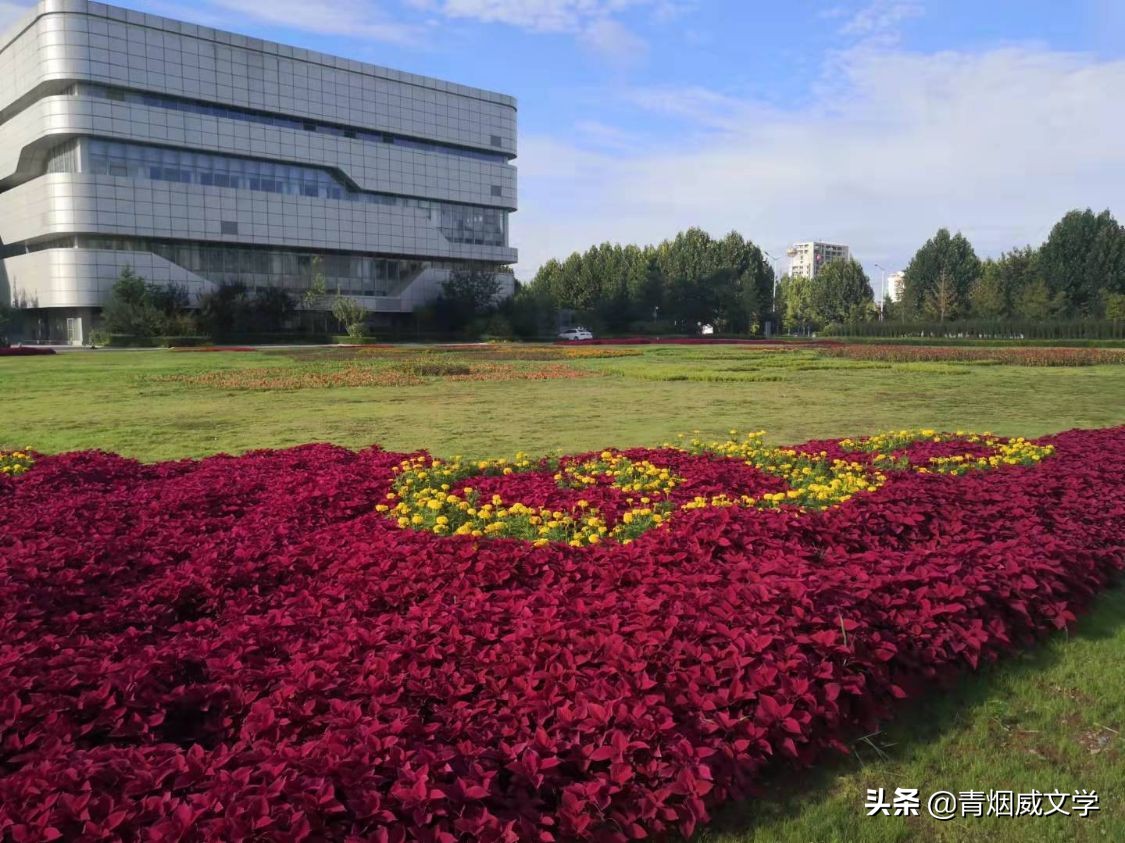秋意渐深风光美，红花绿叶织涵芳
