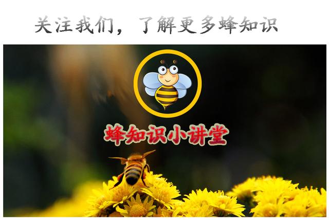 蜂蜜-蜂蜜保存的正确方法（放了七八年的蜂蜜还能吃吗）