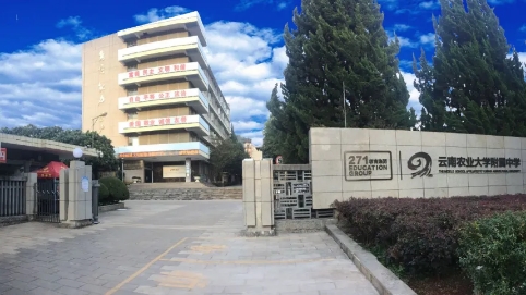 昆明市一等奖！云南农大附中2019年高考质量再登新高