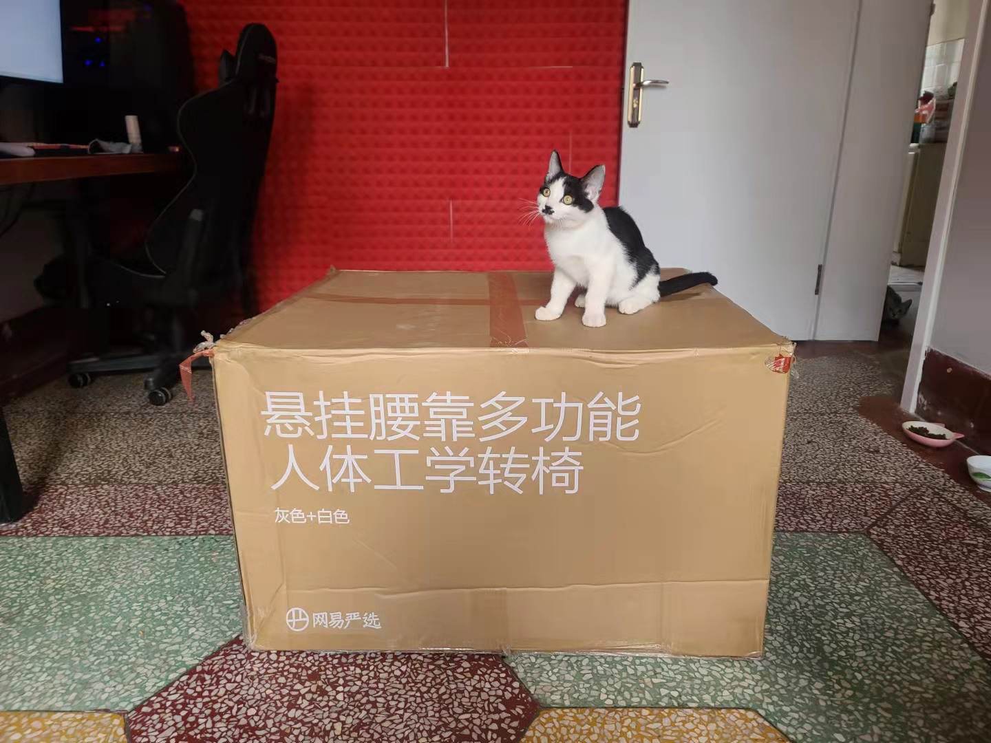网易人体工学办公椅体验测评，两大进口科技，我的腰交它守护