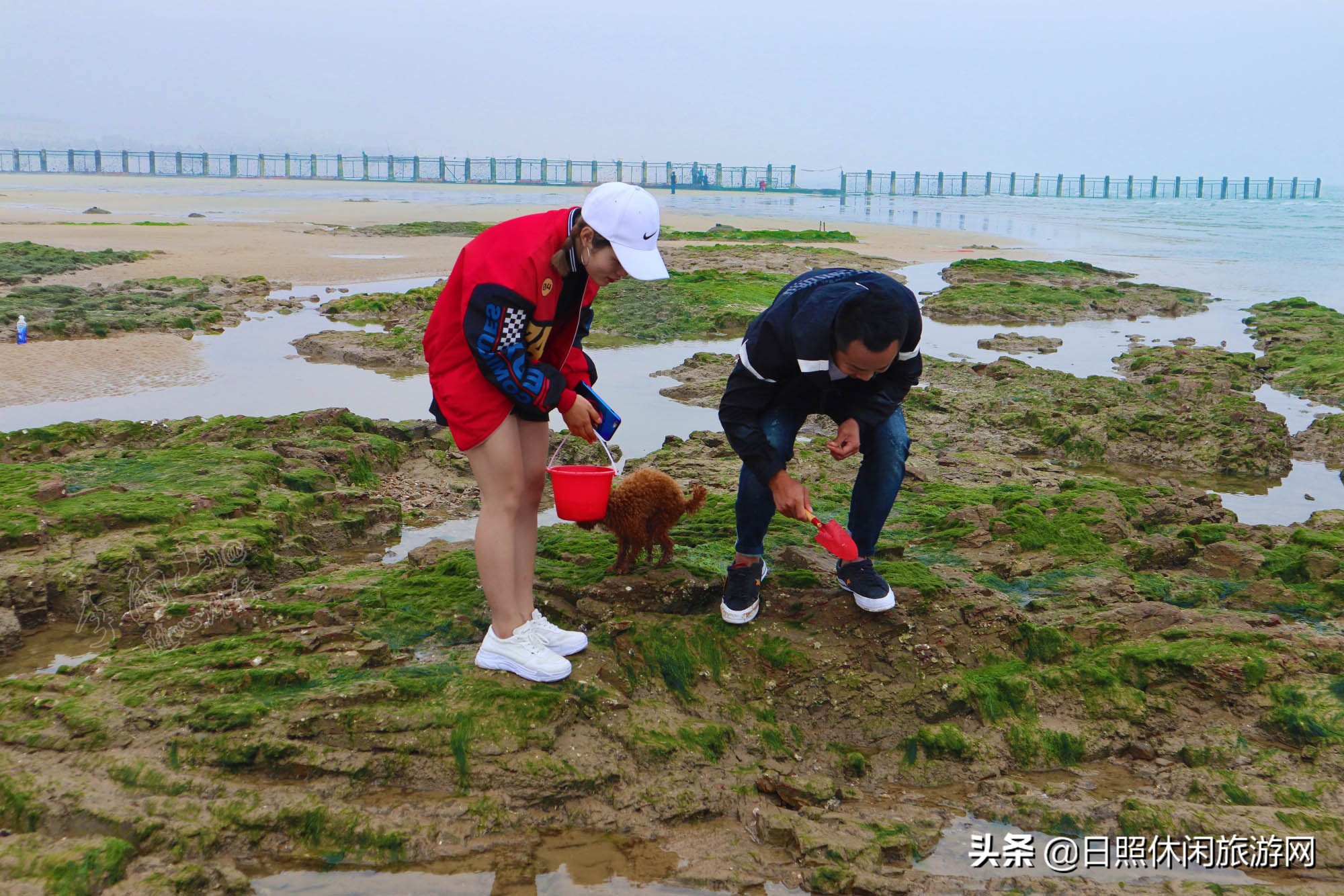 来日照旅游必看的吃住玩攻略（附2019年潮汐表）