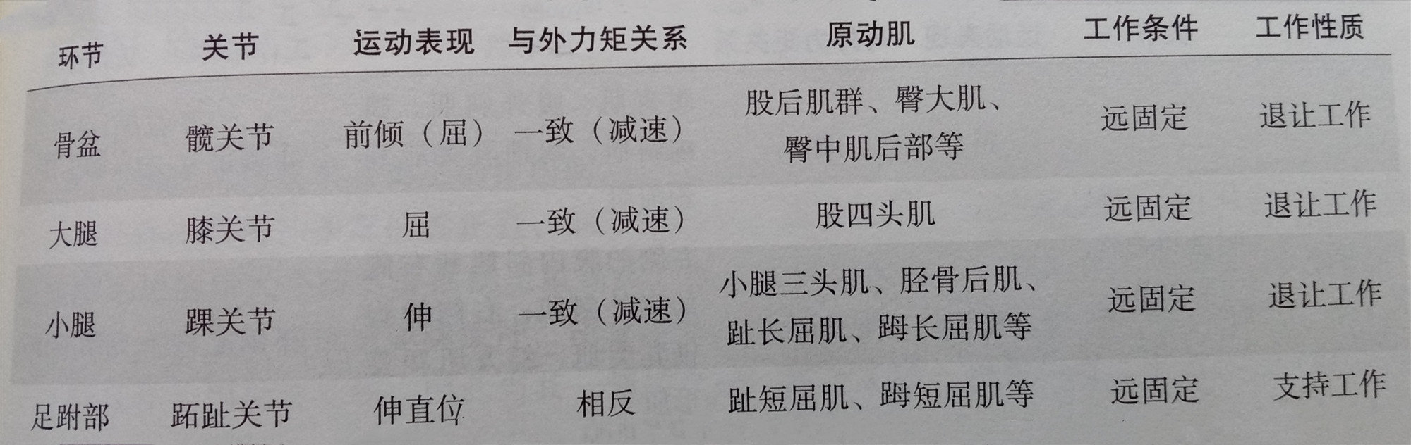 举重机的使用方法(做杠铃深蹲能练好下肢肌肉力量和围度吗？要掌握4个动作重点才行)