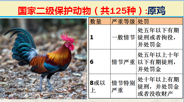 国家保护动物分几个等级（125类二级野生保护名录）