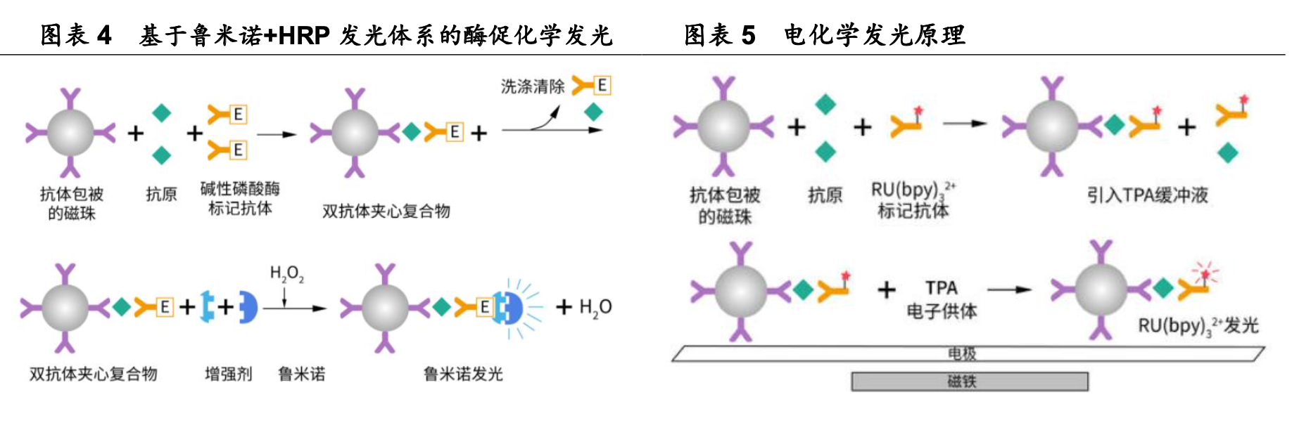 三诺生物招聘（行业深度）