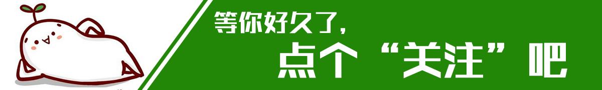 滁州装修公司盘点：装修攻略与口碑推荐全解析