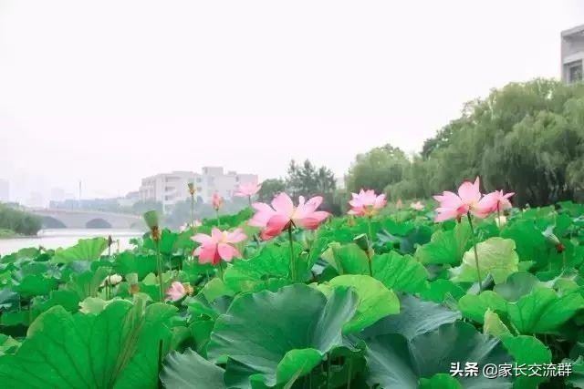 江南大学----一所可能“不适宜”学习的高校