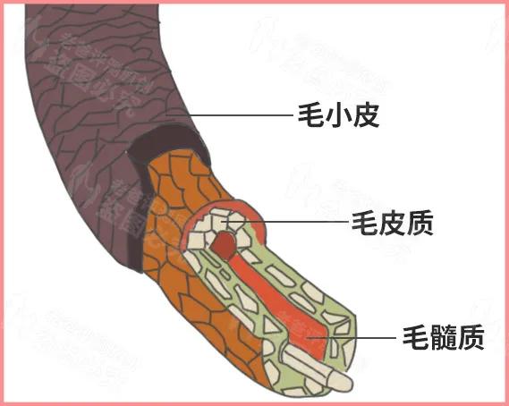 护发精油哪个牌子好（实用的9款护发精油推荐）