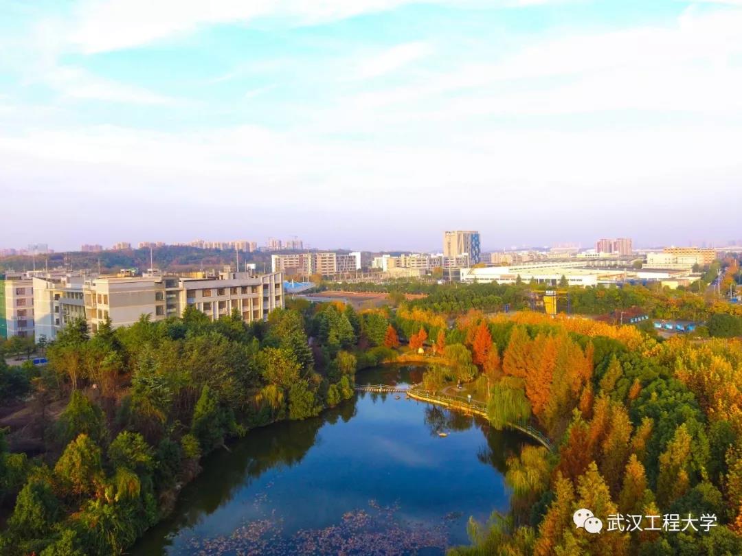 湖北学霸寝室！四人成功考研，两人签约世界500强和央企