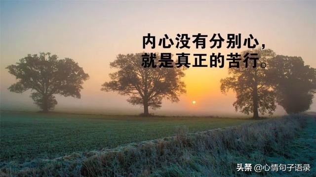 励志语录：只有经历过地狱般的折磨，才有征服天堂的力量