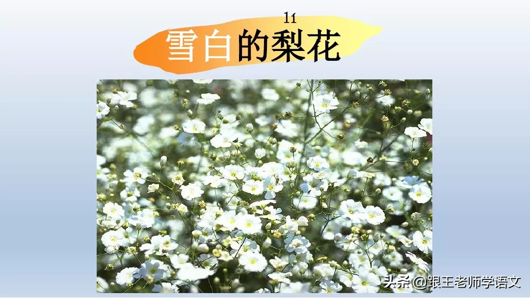 部编语文一年级下册4、四个太阳+朗读+知识点+图文解读