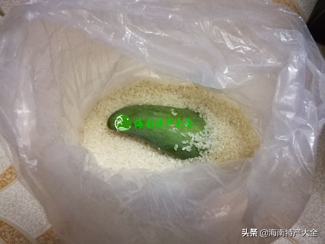 怎么催熟芒果比较快（怎么催熟芒果最快）-第4张图片-昕阳网