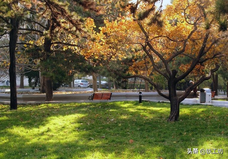 这三所冠名“首都”的大学，仅一所是“双一流”，但都是领域名校