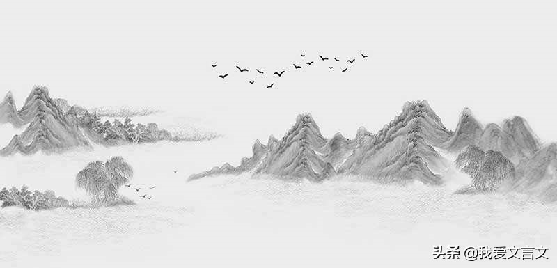 经典文言文赏析｜笼中鹦鹉