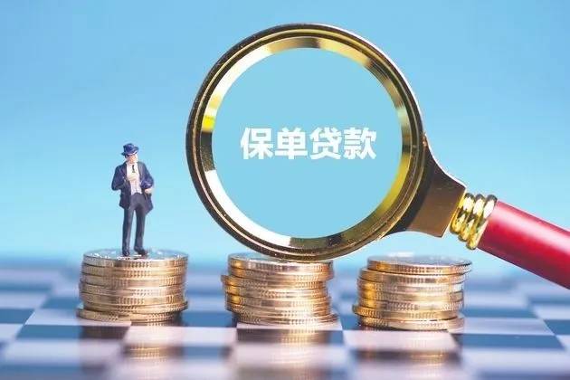贷款类型分类