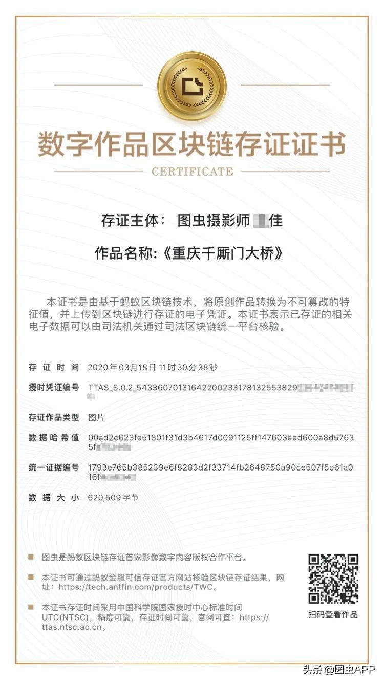 图虫和蚂蚁区块链达成深度合作，成国内最大区块链确权摄影师平台