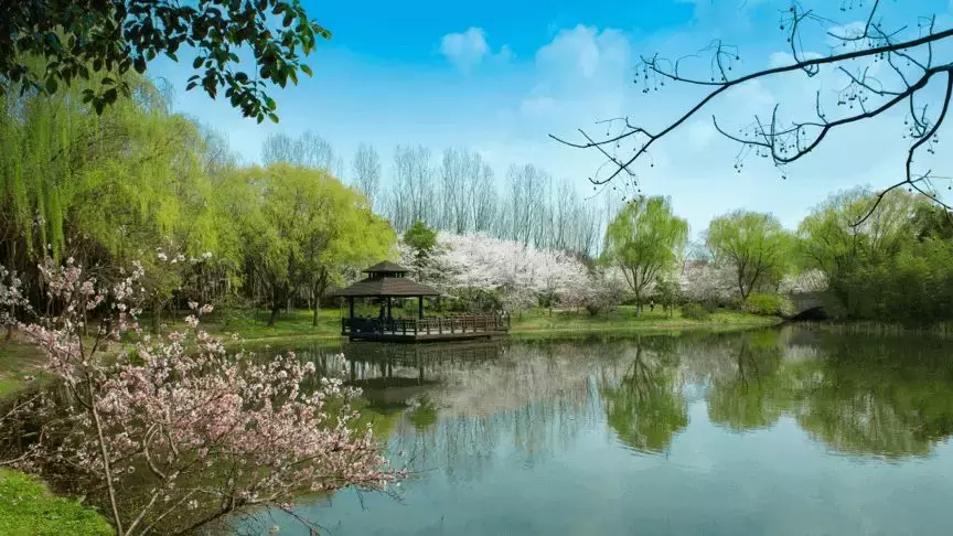 上海赛车门票(上海十佳乡村旅游优选地，第二批市民休闲好去处，侬去过几处？)