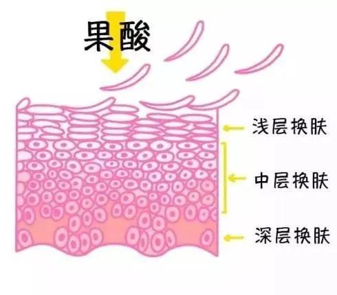 果酸的作用（知识科普果酸的4大护肤作用）