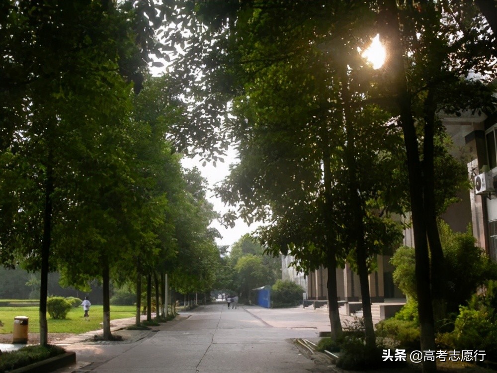 升格前的最后一次招生，机会只有一次，这2所学院收藏备用