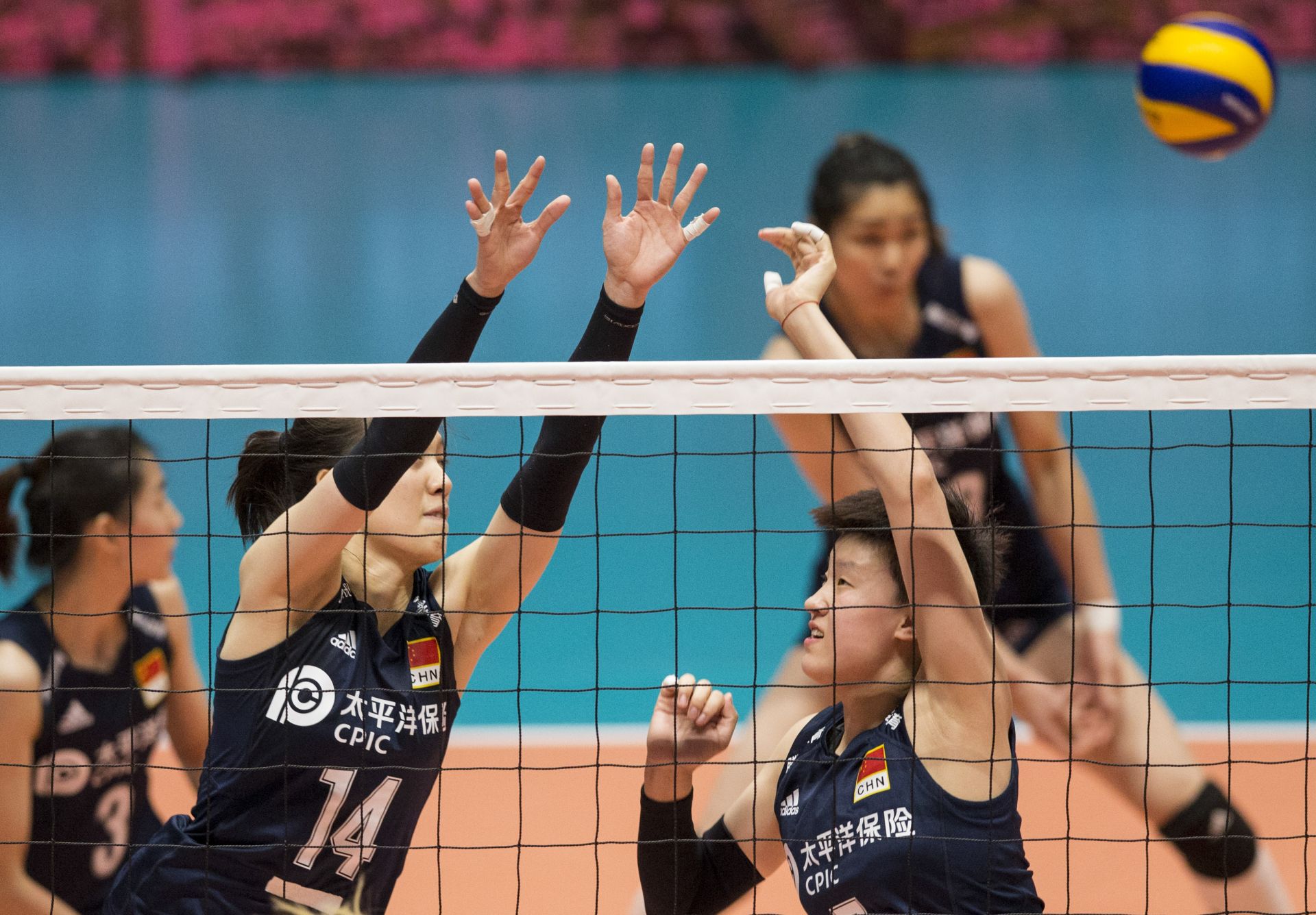 胡銘媛為什么落選女排世界杯（解讀一下：為何胡銘媛再次入圍中國女排集訓名單，鄭益昕卻落選）