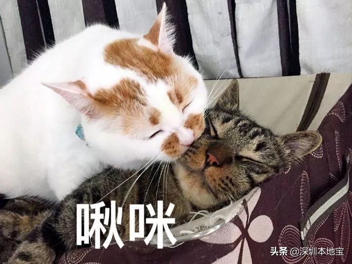 爆笑！网友解读2019十大流行语！看看你还记得哪个？