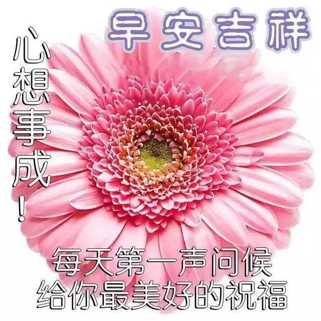 心中有爱，才能春暖花开；心中有善，才能美丽常在，早安