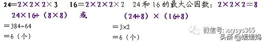 人教版五年级数学下册总复习知识点