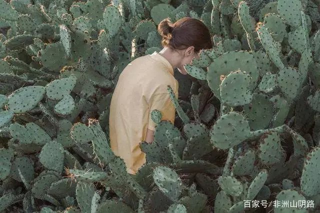那些被抖音洗脑的句子