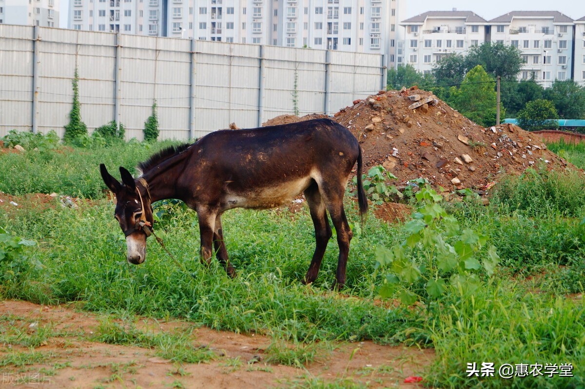 土地闲置费,土地闲置费征收标准