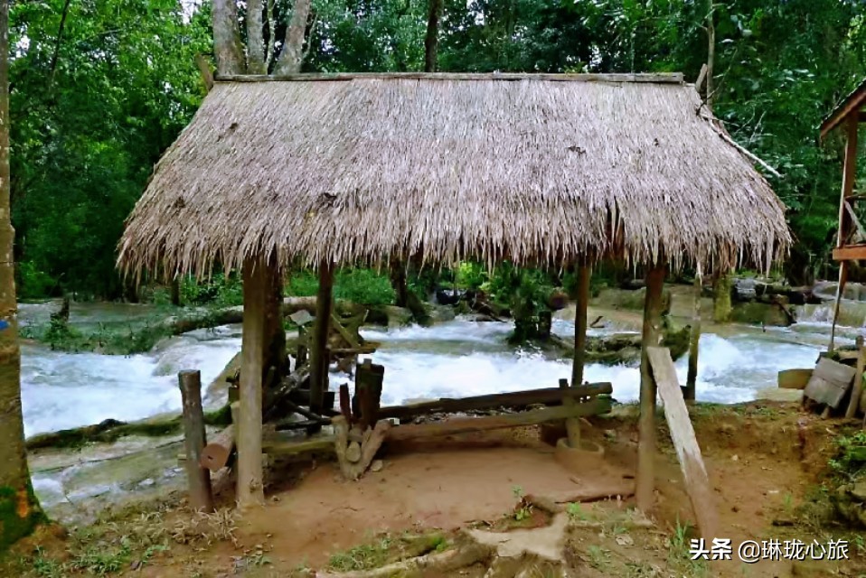 跳水是大象吗(老挝自由行三：白雪瀑布游泳跳水骑大象，偶遇小和尚沐浴归来)