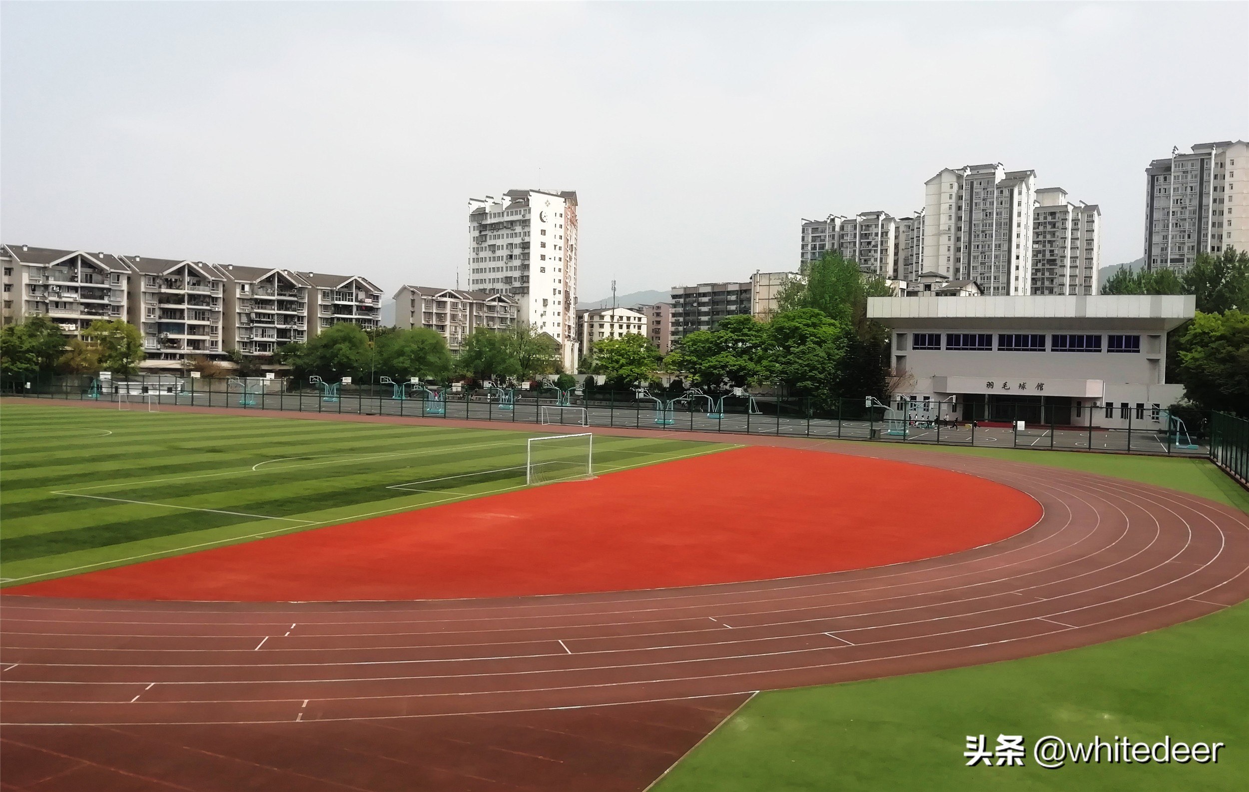 西南师范大学校园风光图片