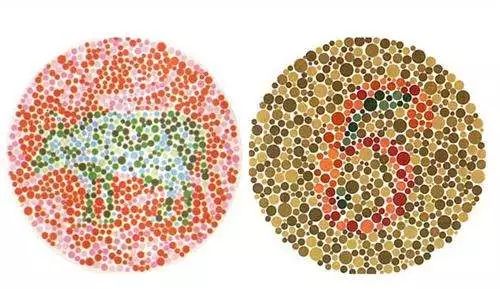 广东高考体检陆续开始，要检查什么项目？要脱衣服真尴尬