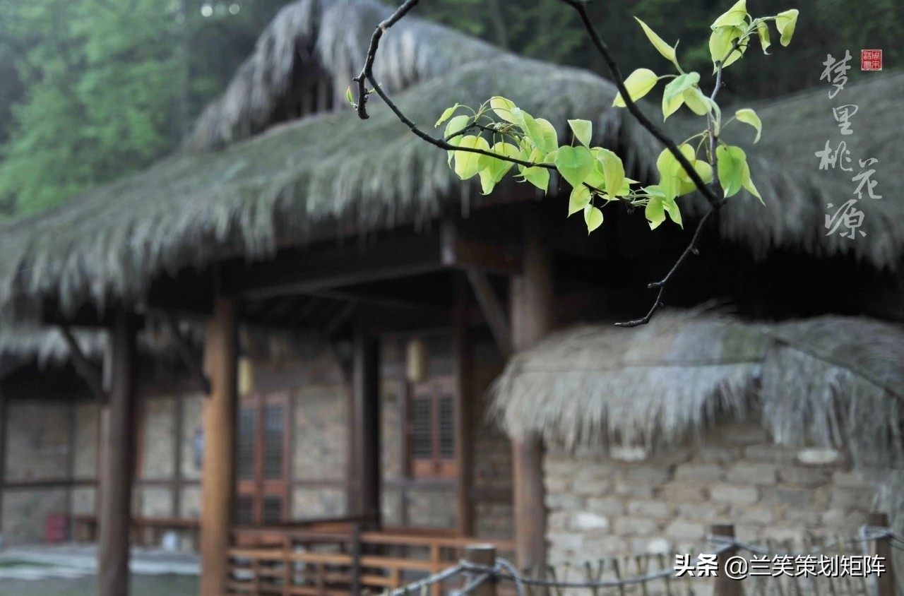 诗情桃花源 | 此生，只为你盛开这朵桃