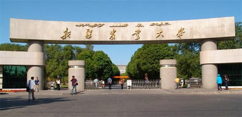 新疆师范大学校门图片