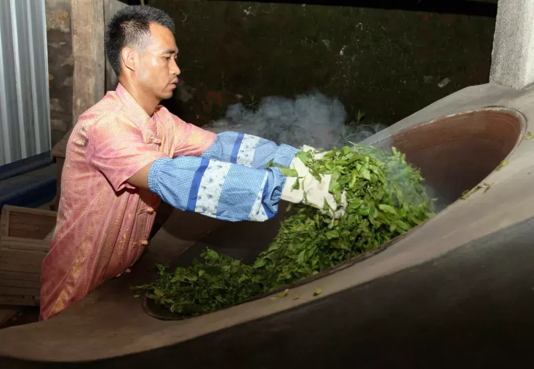普洱茶几十元到上万元一斤，为何差距如此之大？