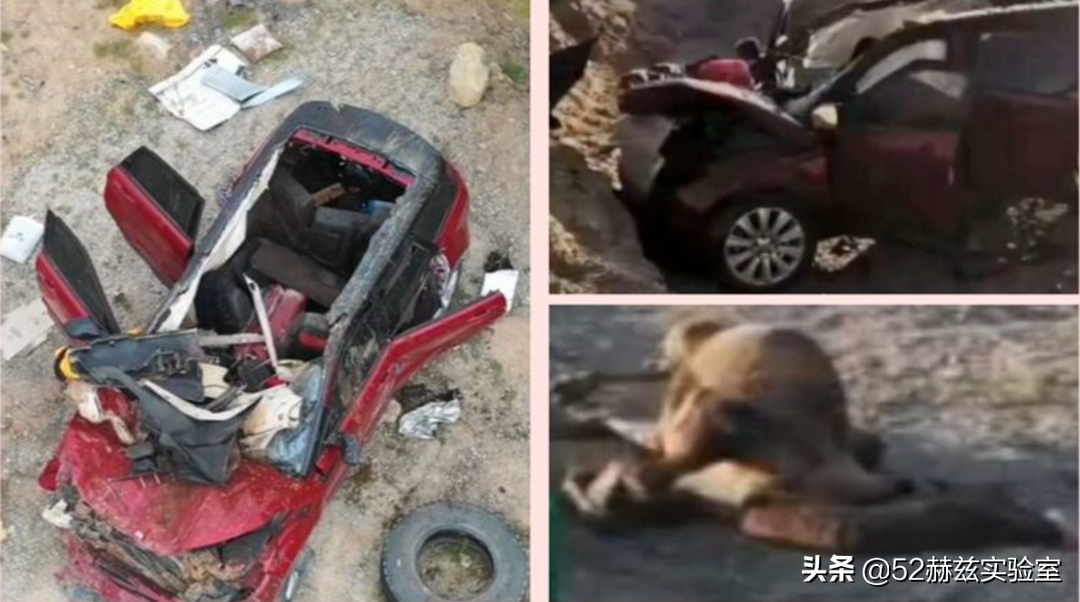 骆驼休闲鞋，舒适耐用又百搭，时尚与实力并存！