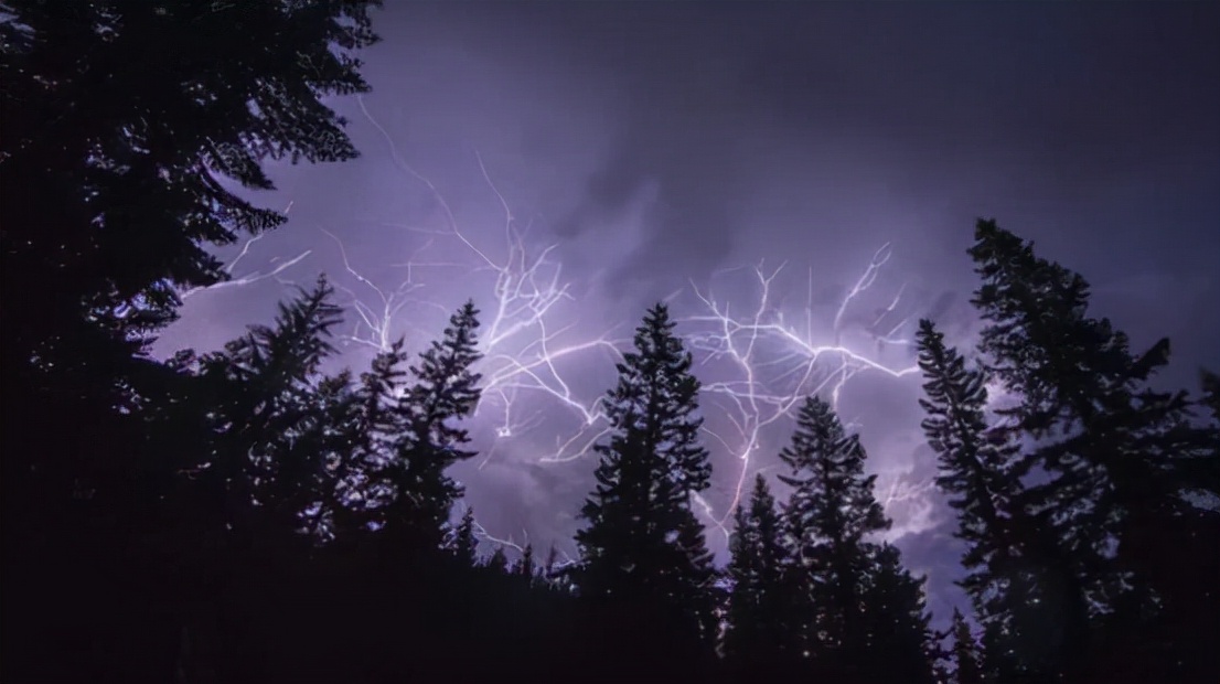 1995年，安徽曾有巨蟒渡劫，却被雷电击中飞升失败，是真是假？