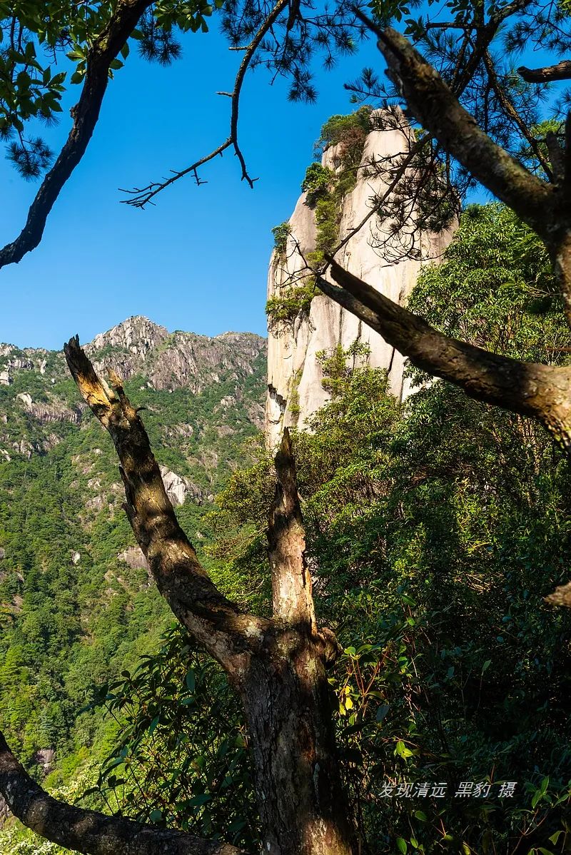 东岳是什么山(广东有座海拔1452米的东岳山，风景不输泰山却鲜为人知)