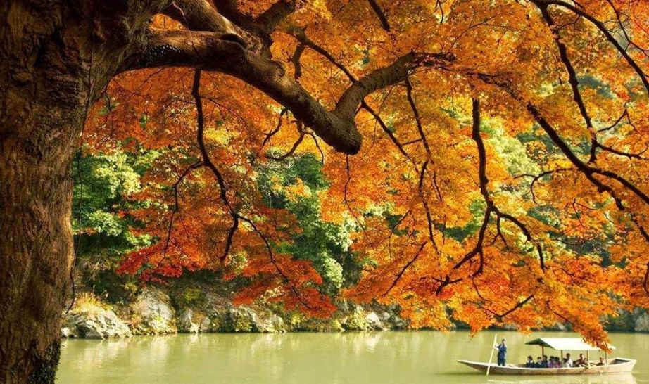 「诗词鉴赏」古诗词里的山中秋色，气象万千，摄人心魄的美丽