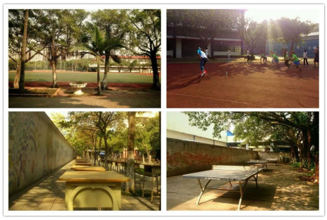 高职高考必看｜全面了解广东职业技术学院